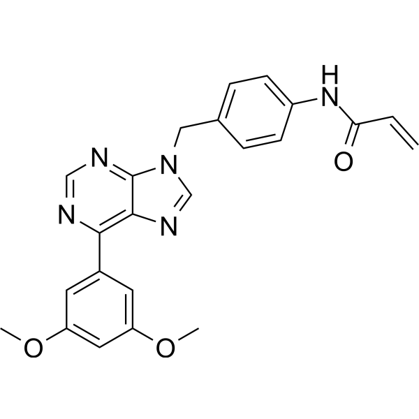 FGFR-IN-13 2962941-25-7